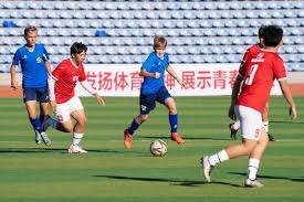 全面解析世界杯观赛指南，助你不 miss 任何精彩瞬间